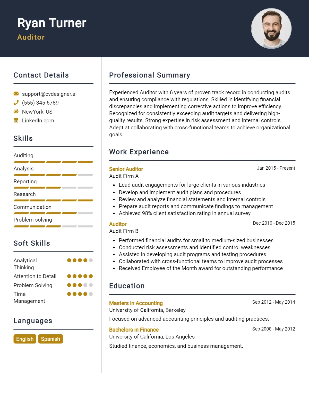 12 Auditor CV Examples And Templates For 2026: Ultimate Guide Preview