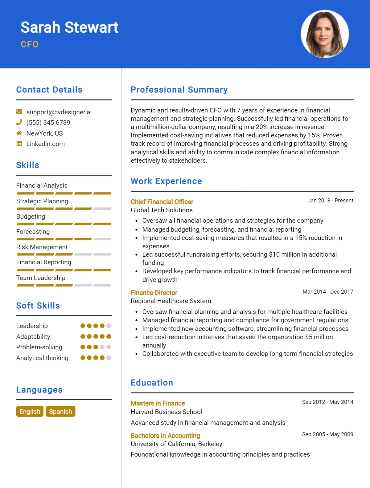 CFO CV Example For 2026: Ultimate Guide Preview