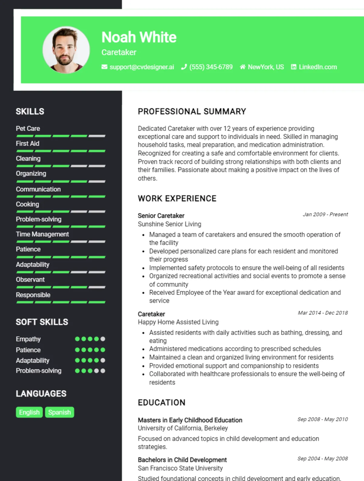 Caretaker CV Example For 2026: Best Writing Guide Preview