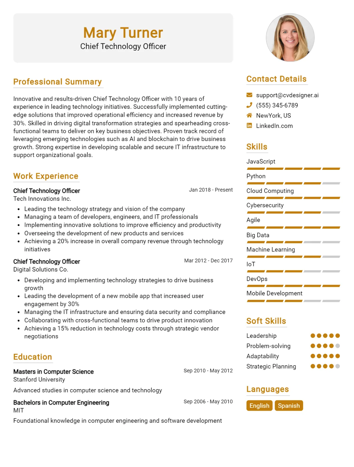 Chief Technology Officer CV Example For 2026: Best Tips & Templates Preview
