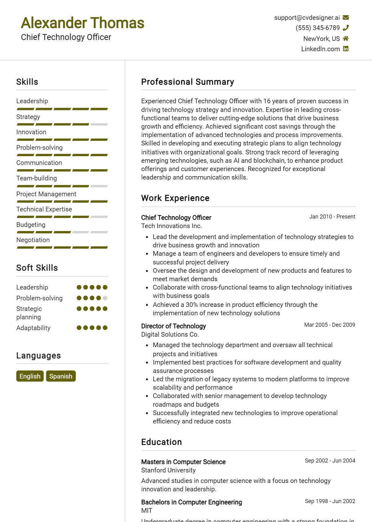 Chief Technology Officer Resume Example for 2026: Expert Tips Preview