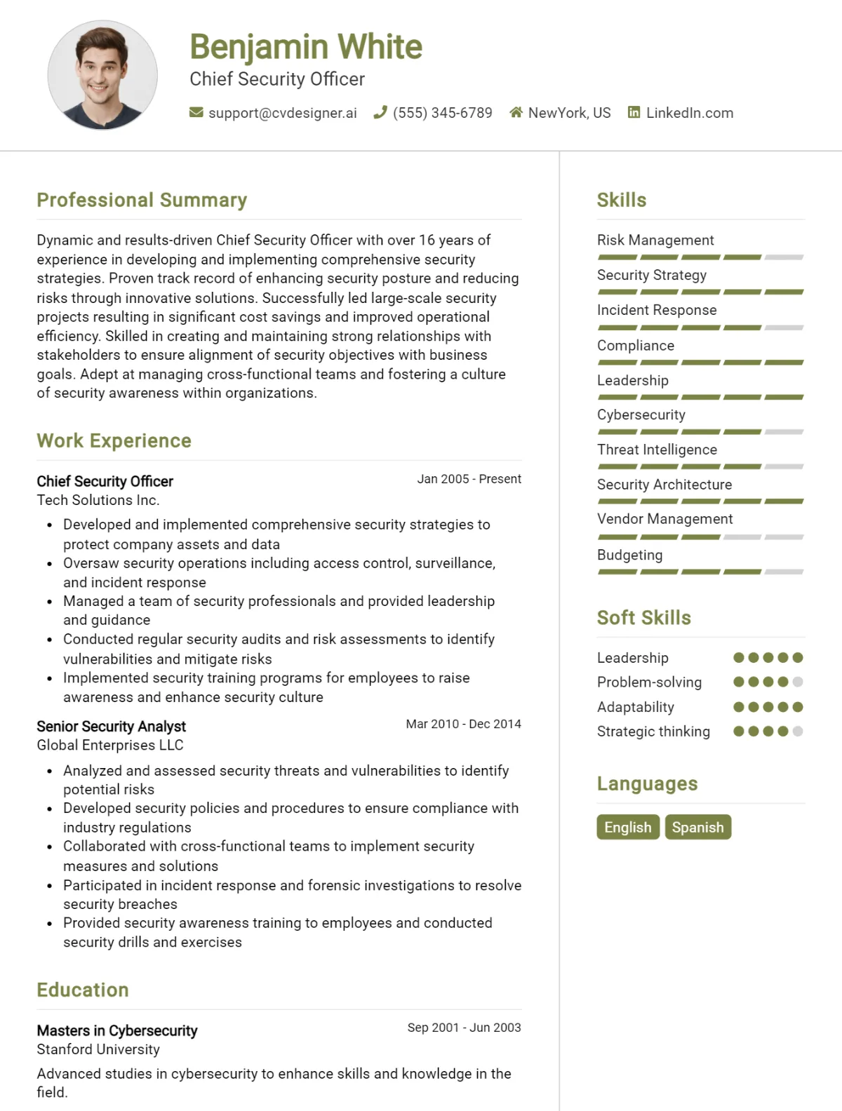Chief Security Officer CV Example For 2026: Tips to Stand Out Preview