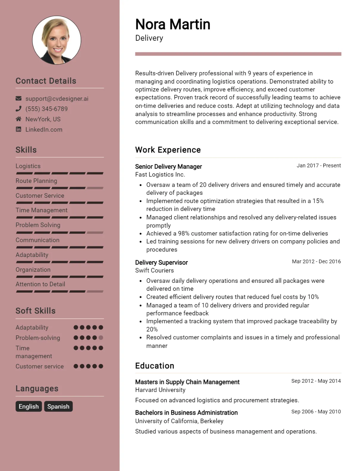 Delivery CV Example For 2026: Best Tips & Templates Preview