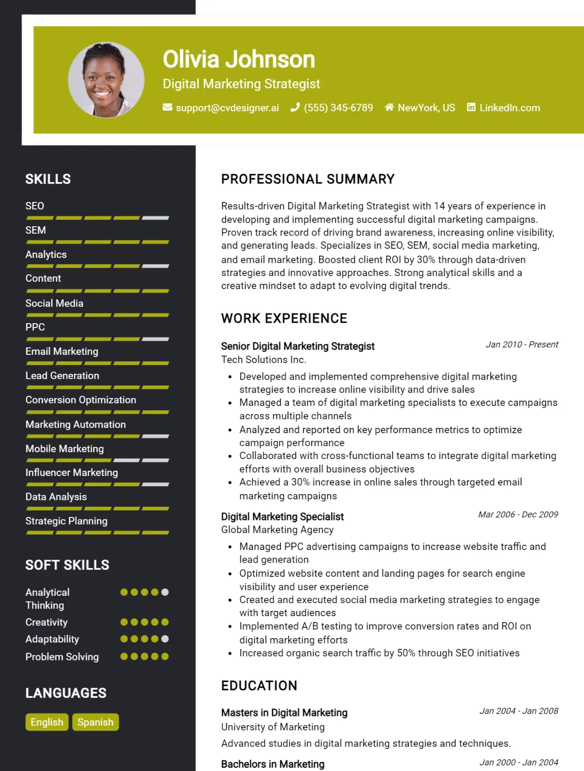 12 Digital Marketing Strategist CV Examples And Templates For 2026 Preview
