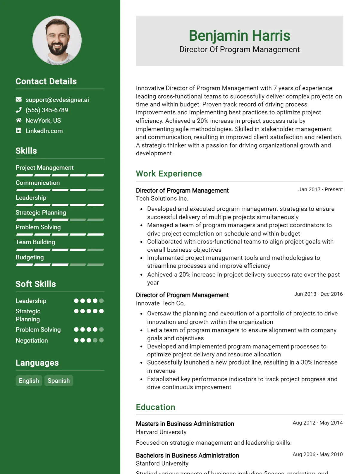 Director Of Program Management CV Example For 2026: Ultimate Guide Preview