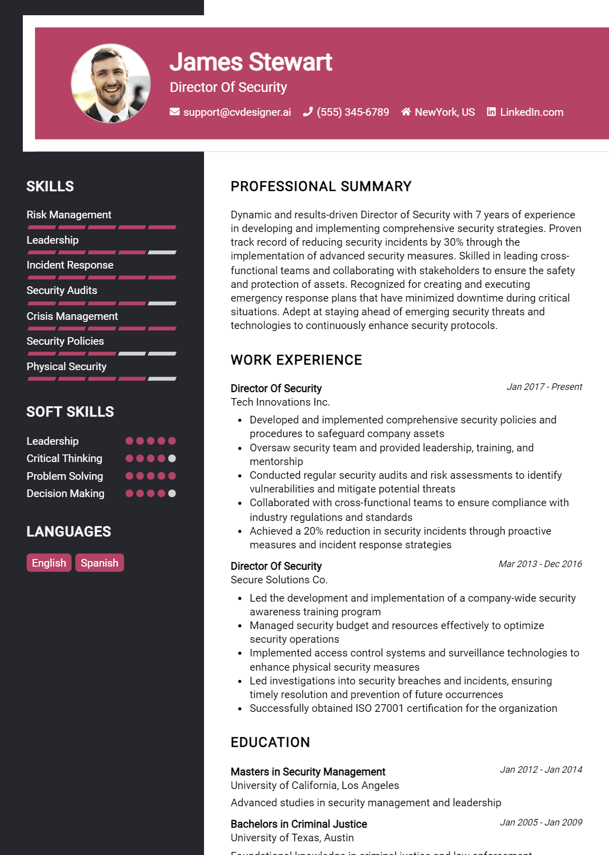 Director Of Security Resume Example for 2026: Downloadable Templates Preview