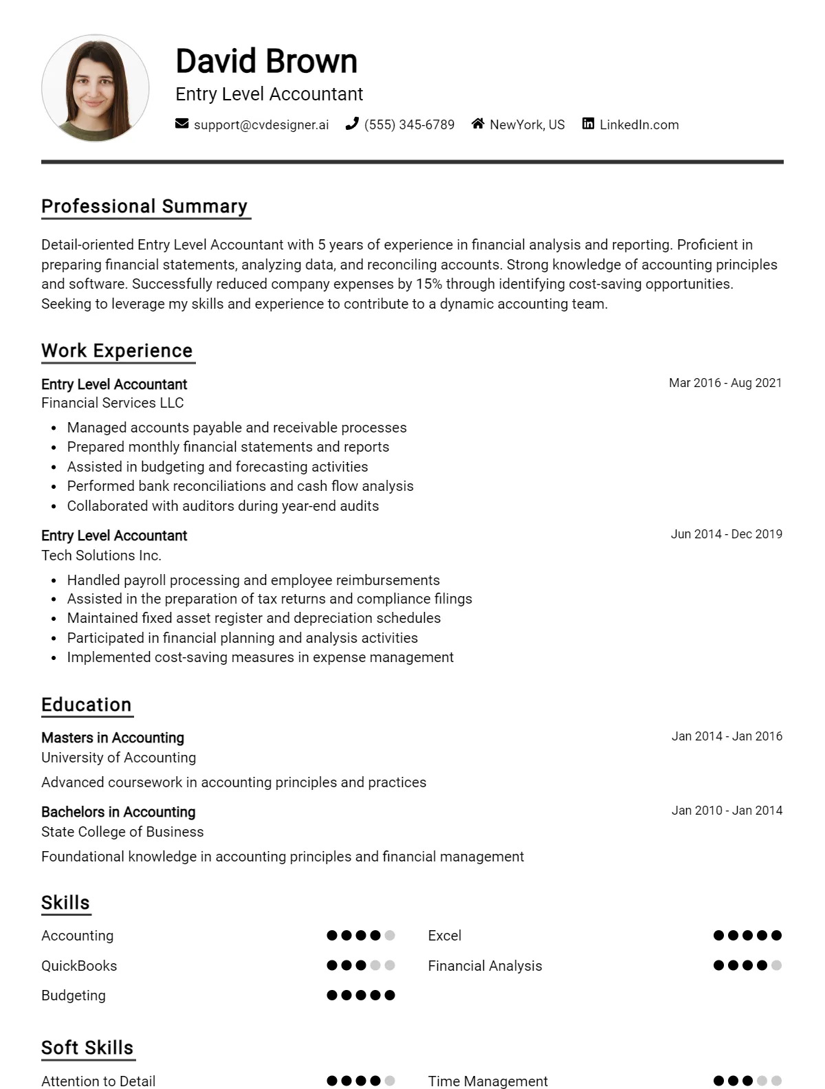 Entry Level Accountant CV Example and Templates Preview