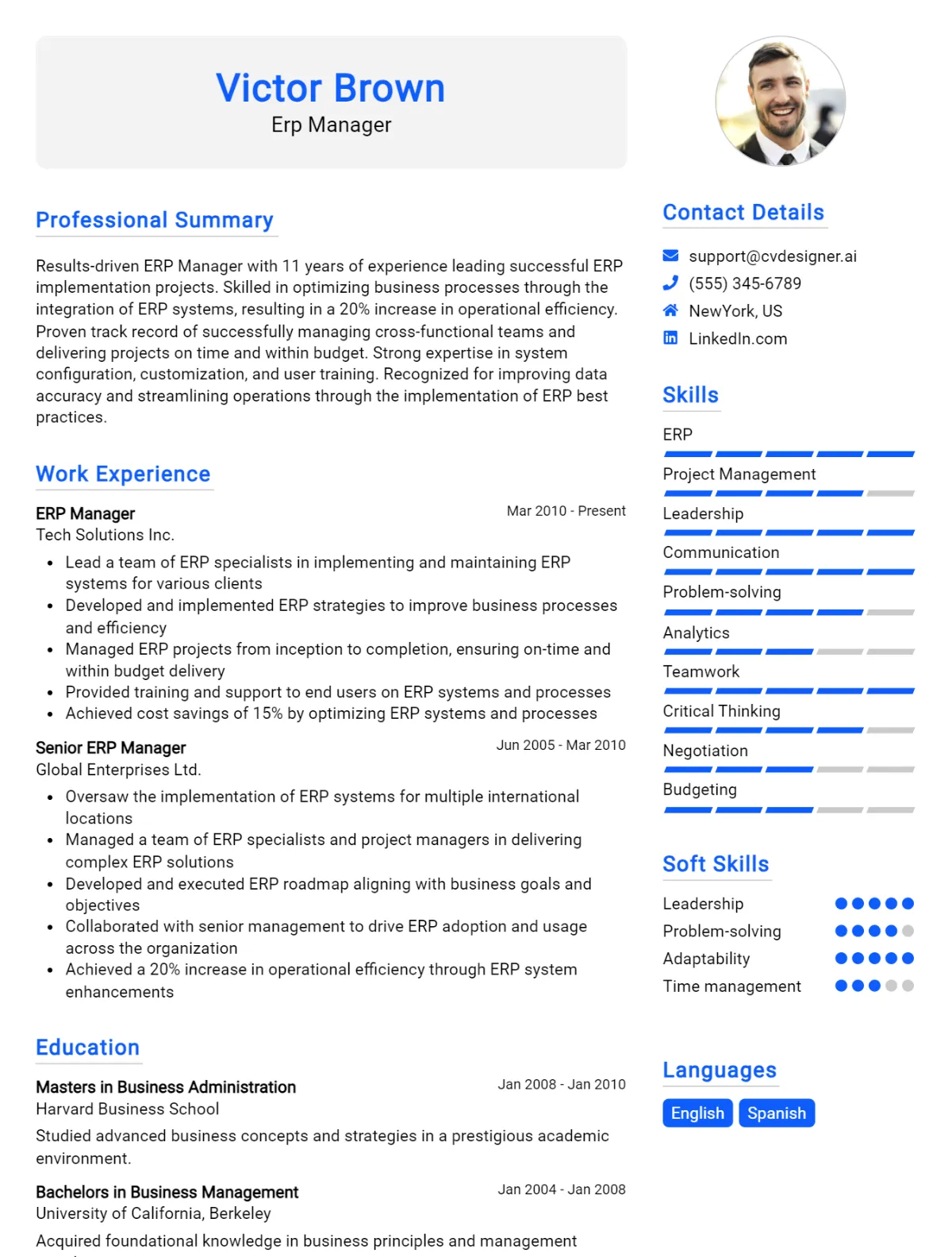 ERP Manager CV Example For 2026: Best Writing Guide Preview