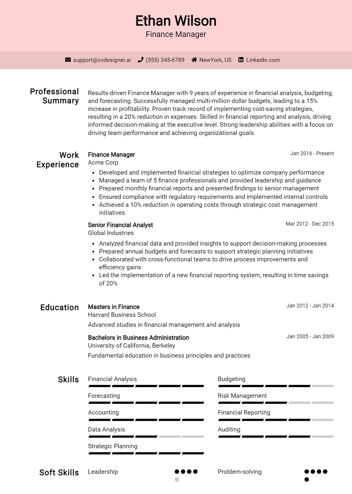 Finance Manager Resume Example for 2026: Effective CV Writing Tips Preview