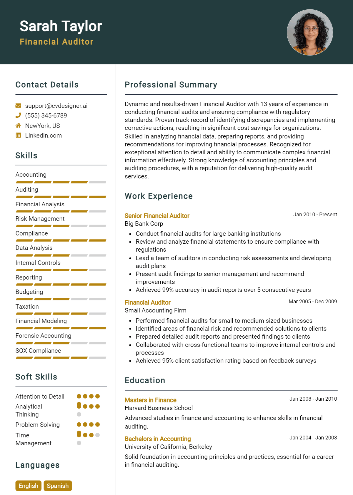 Financial Auditor Resume Example for 2026: Free Downloadable Templates Preview
