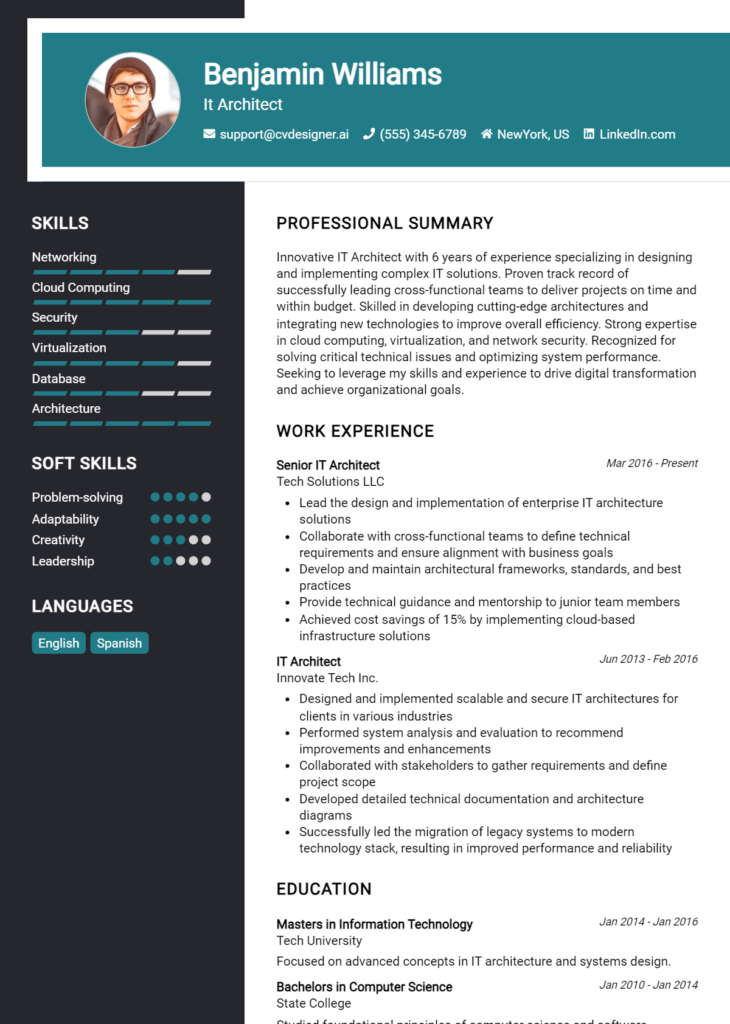 It Architect Resume Example