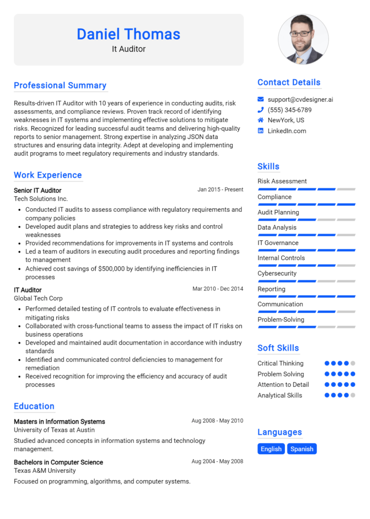 It Auditor Resume Example