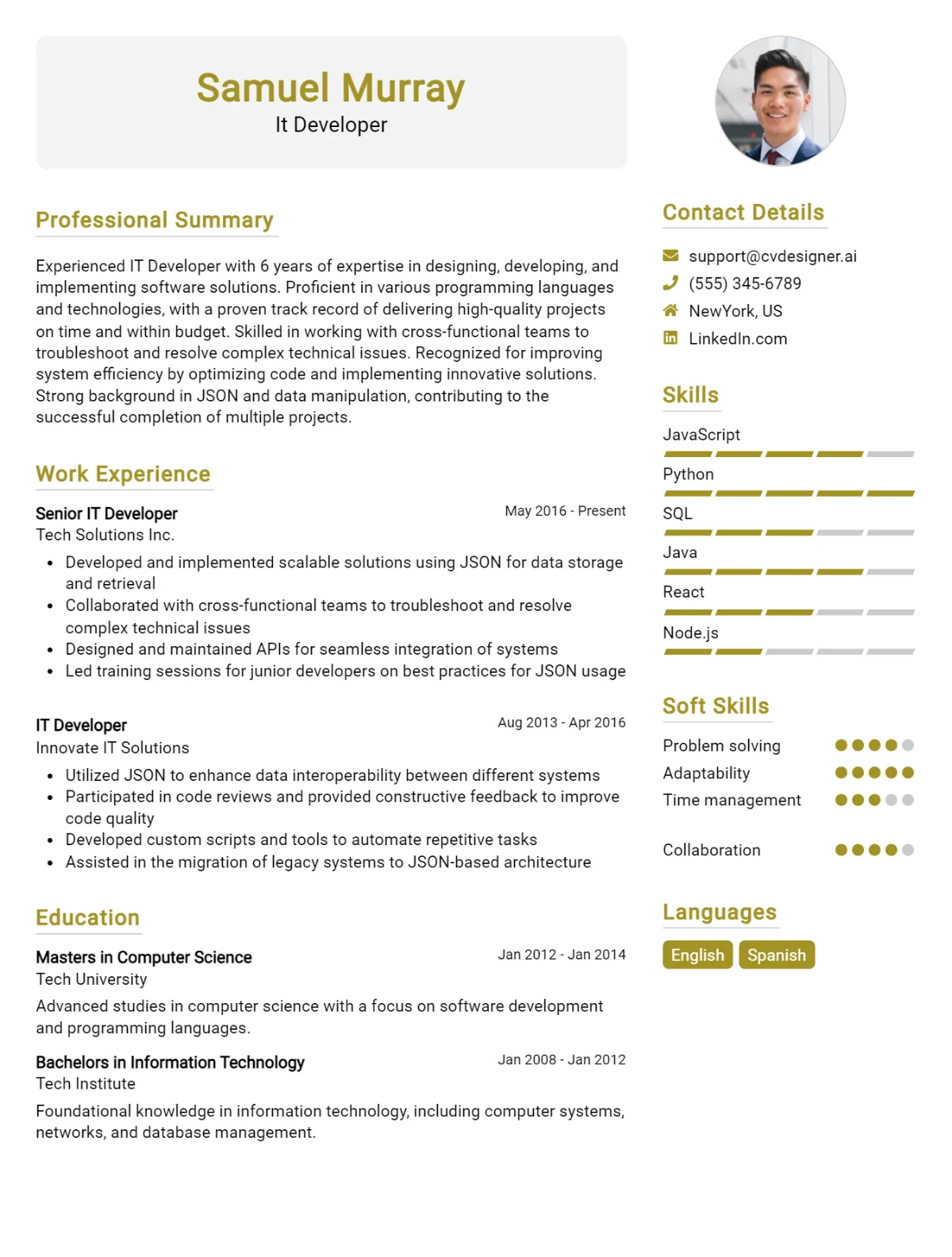 IT Developer CV Example For 2026: Free Downloadable Templates Preview