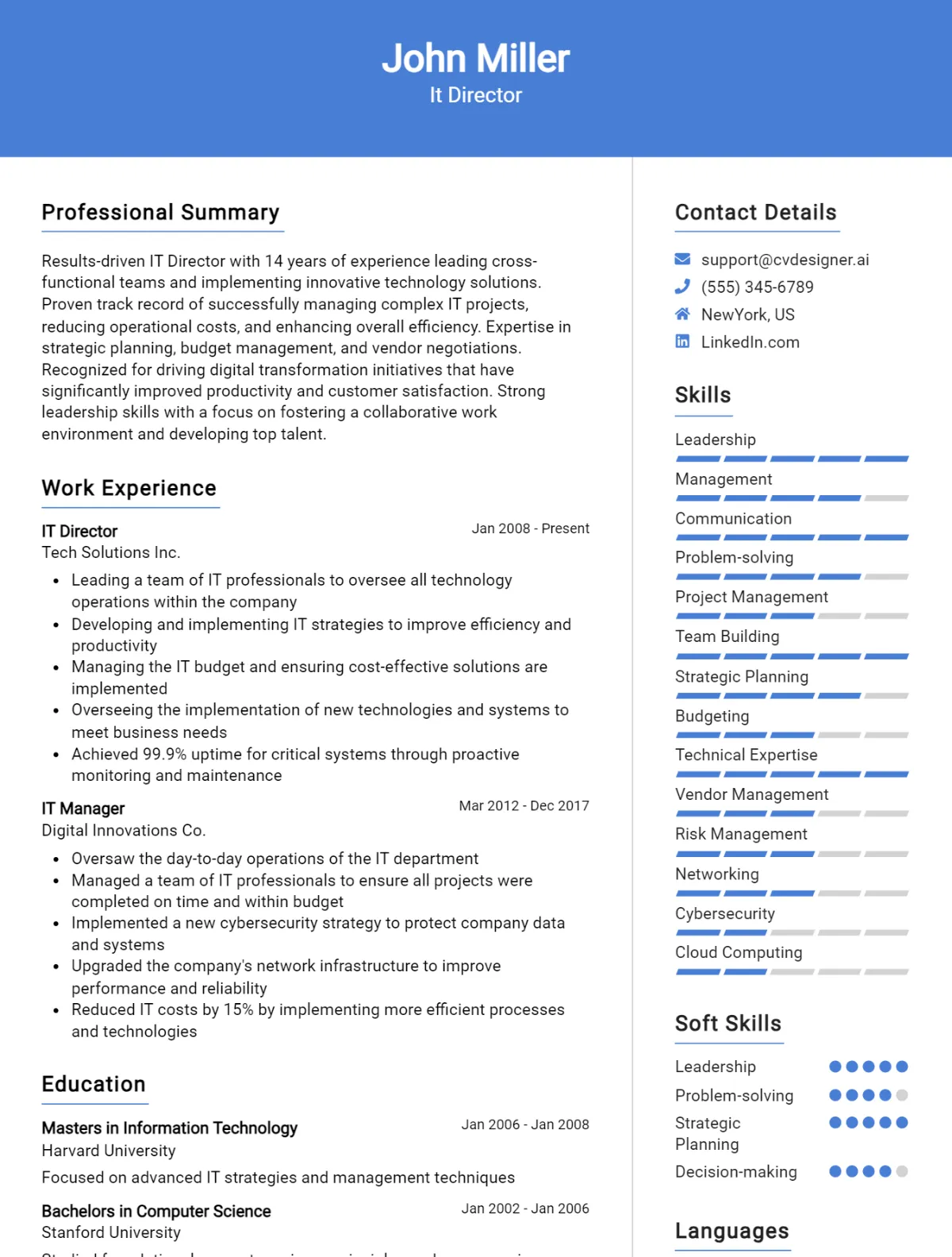 IT Director CV Example For 2026: Best Writing Guide Preview