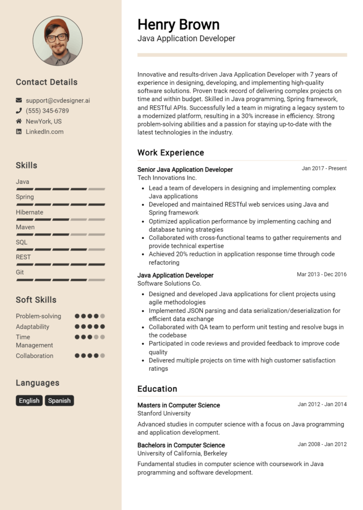Java Application Developer Resume Example