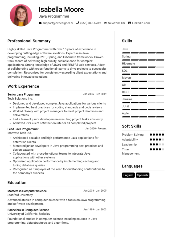 Java Programmer Resume Example