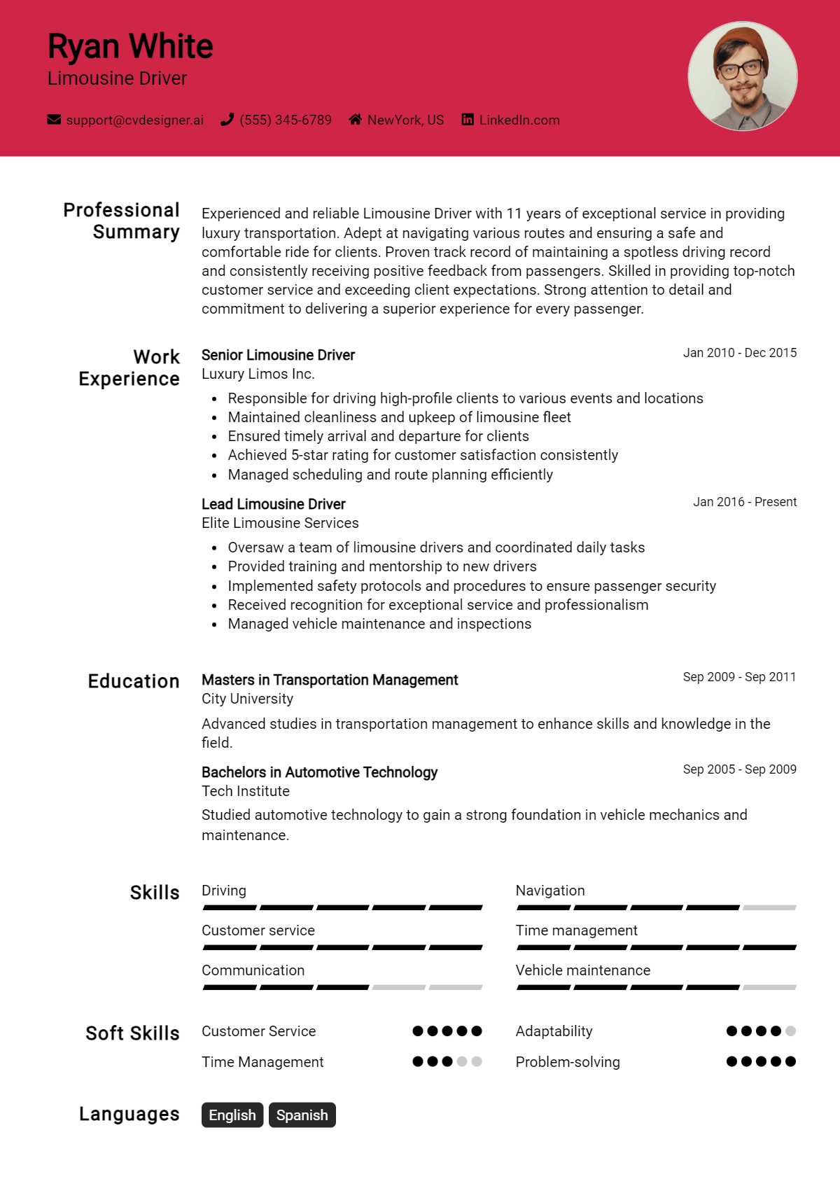 22 Limousine Driver Resume Examples for 2026: Effective Tips Preview
