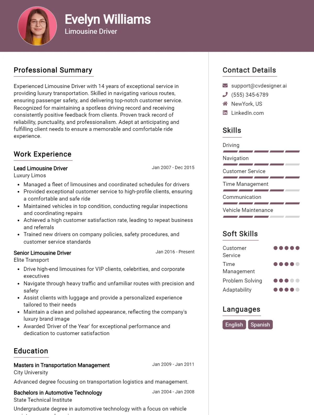 Limousine Driver CV Example For 2026: Tips to Stand Out Preview