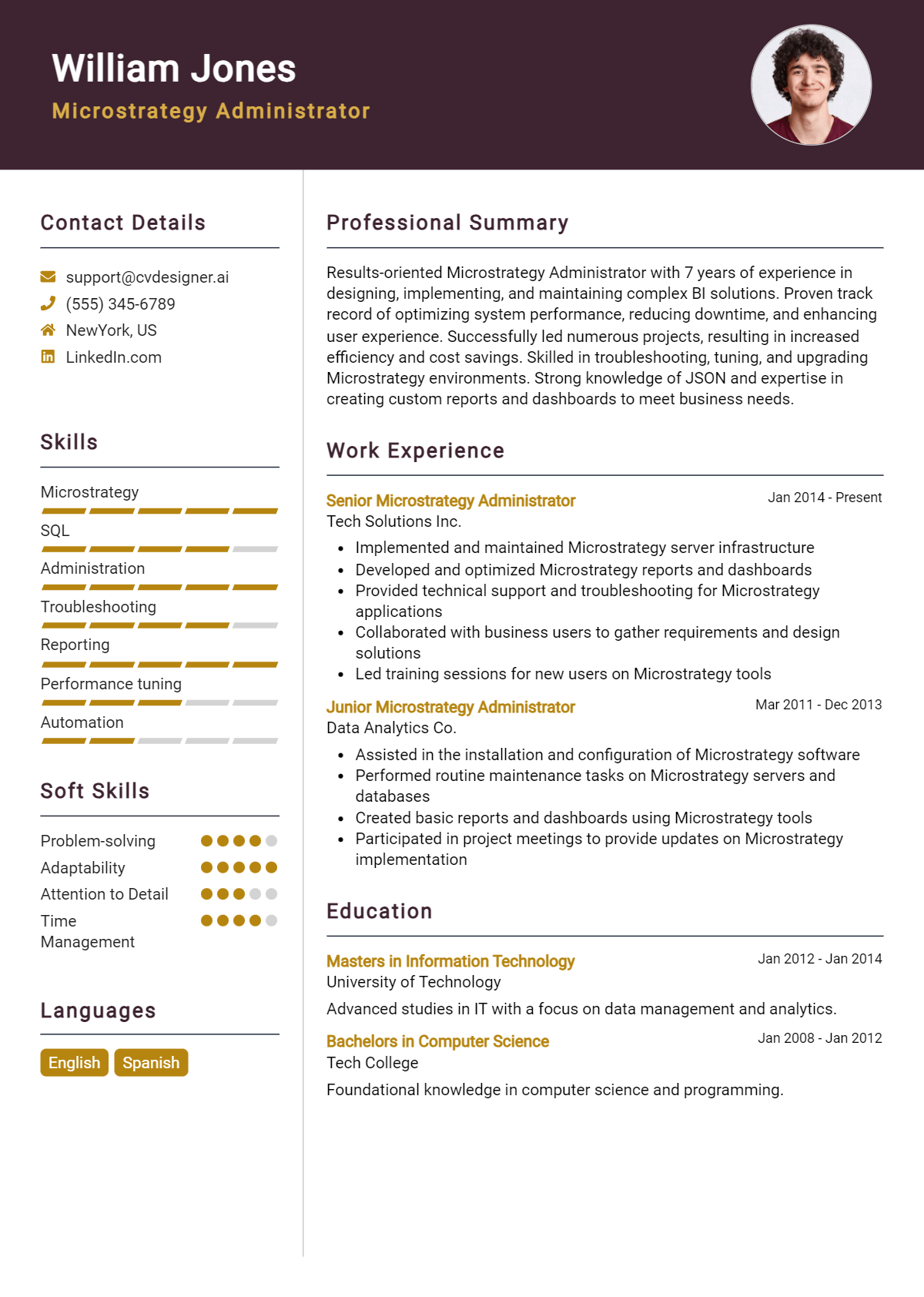 Microstrategy Administrator Resume Example for 2026: Writing Guide Preview