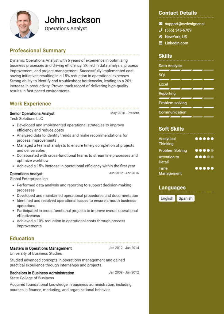 Operations Analyst Resume Example