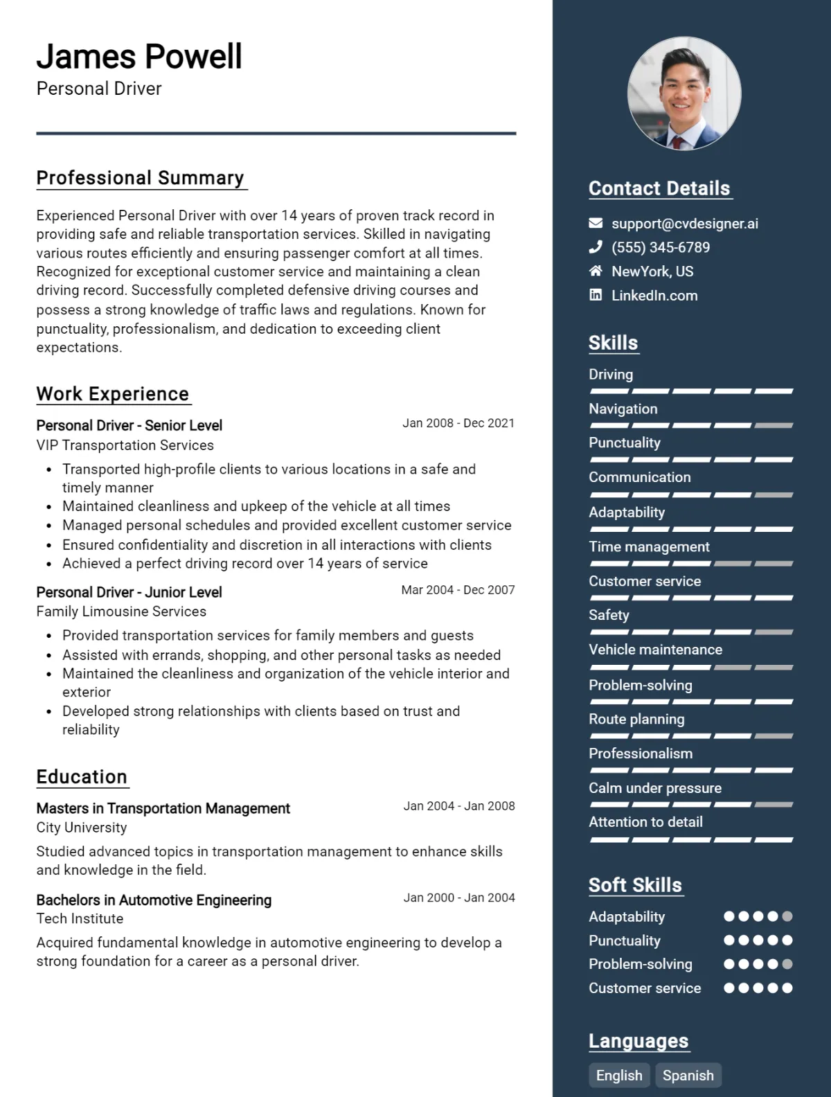 Personal Driver CV Example For 2026: Best Writing Guide Preview