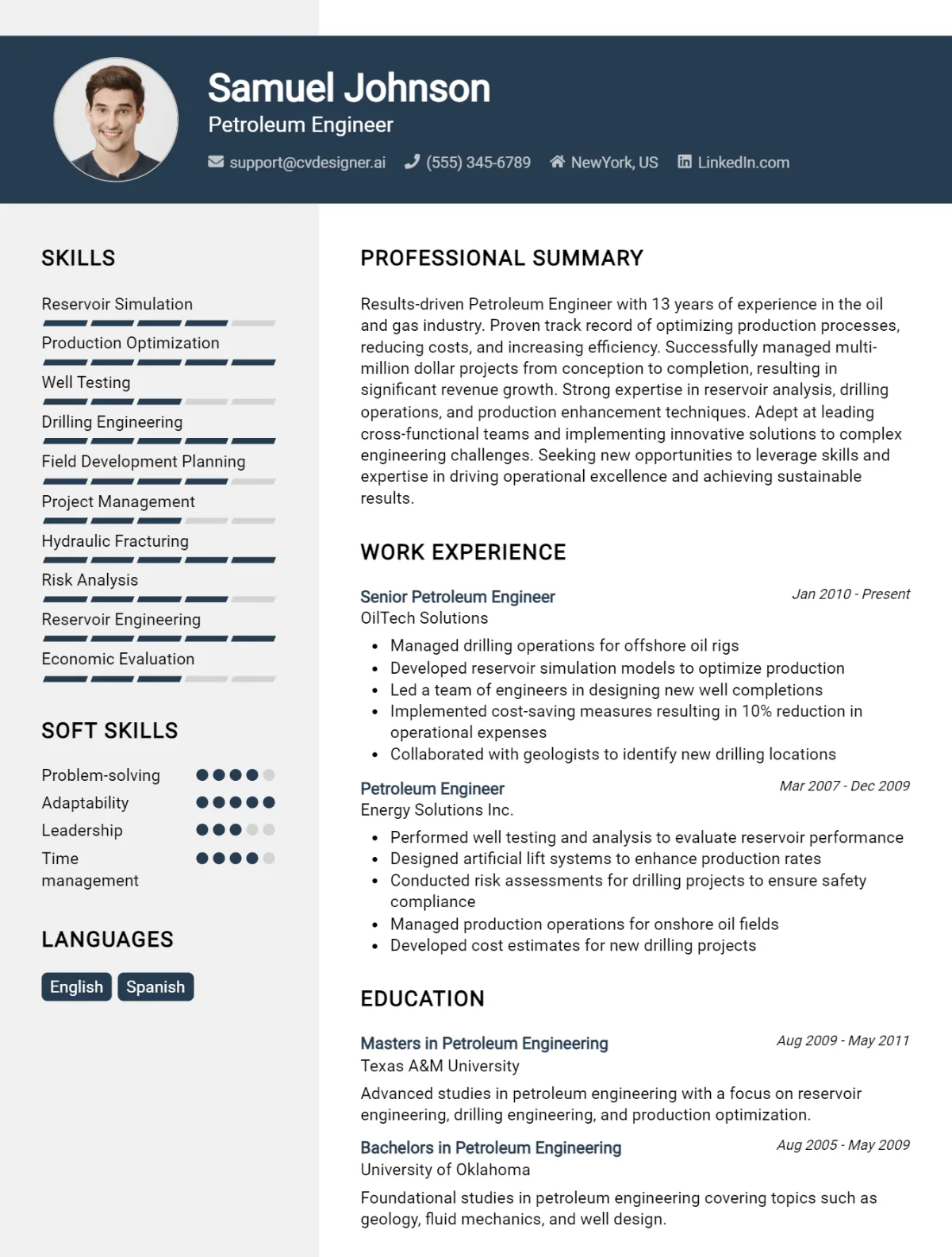 Petroleum Engineer CV Example For 2026: Effective CV Writing Tips Preview