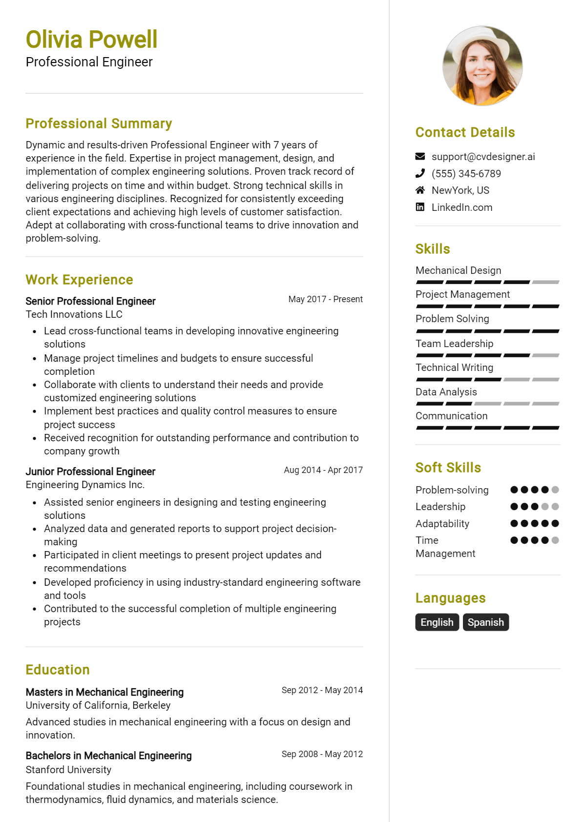 Professional Engineer Resume Example for 2026: Professional CV Templates Preview