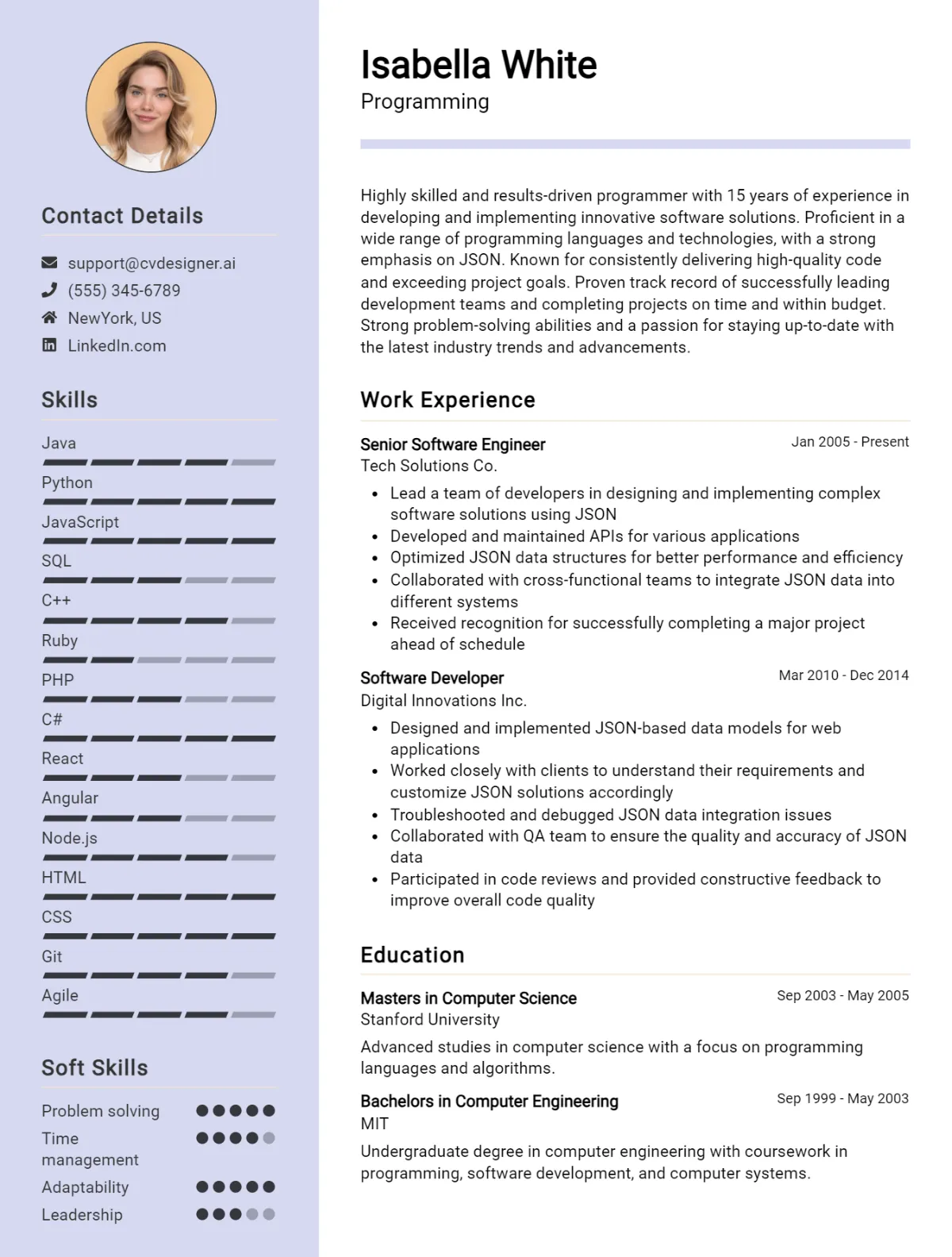 Programming CV Example For 2026: Strategies & Templates Preview