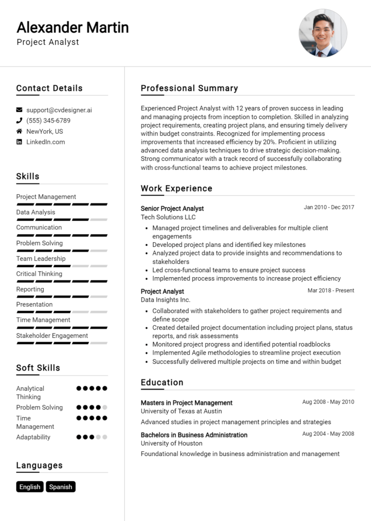 Project Analyst Resume Example