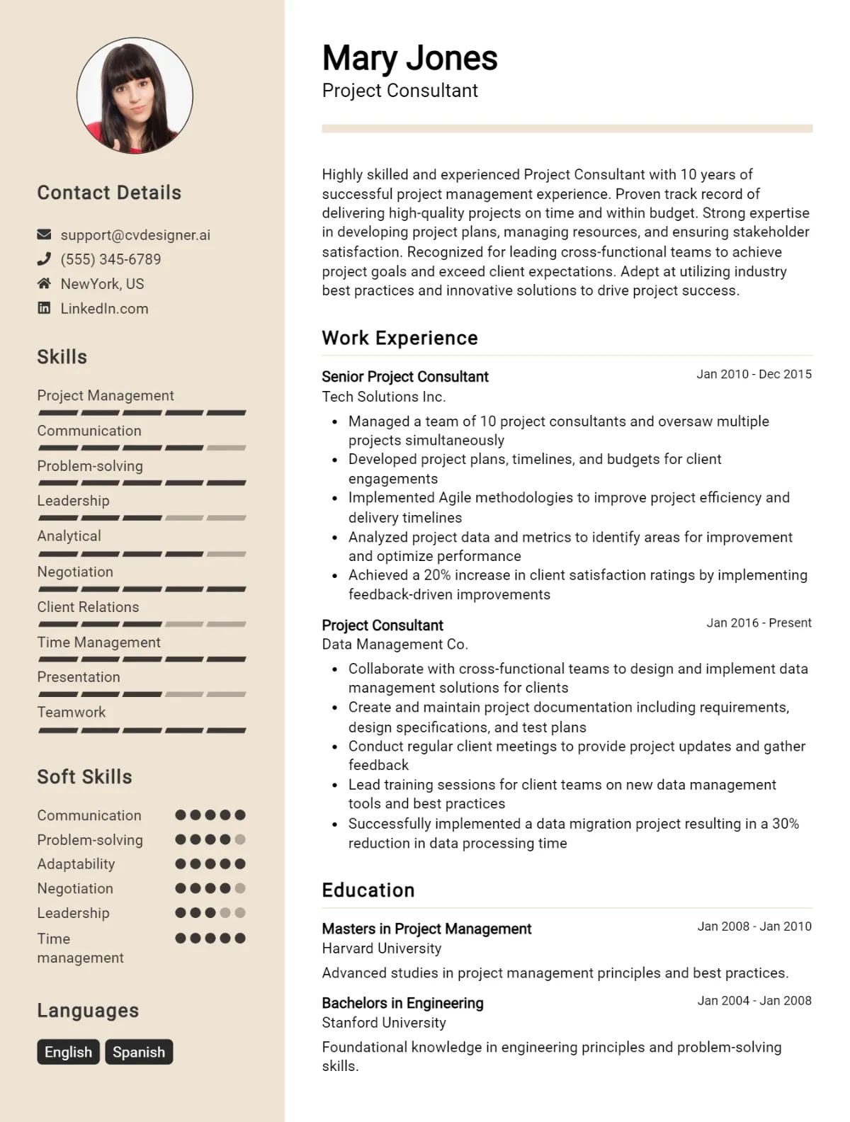 Project Consultant CV Example For 2026: Best Writing Guide Preview