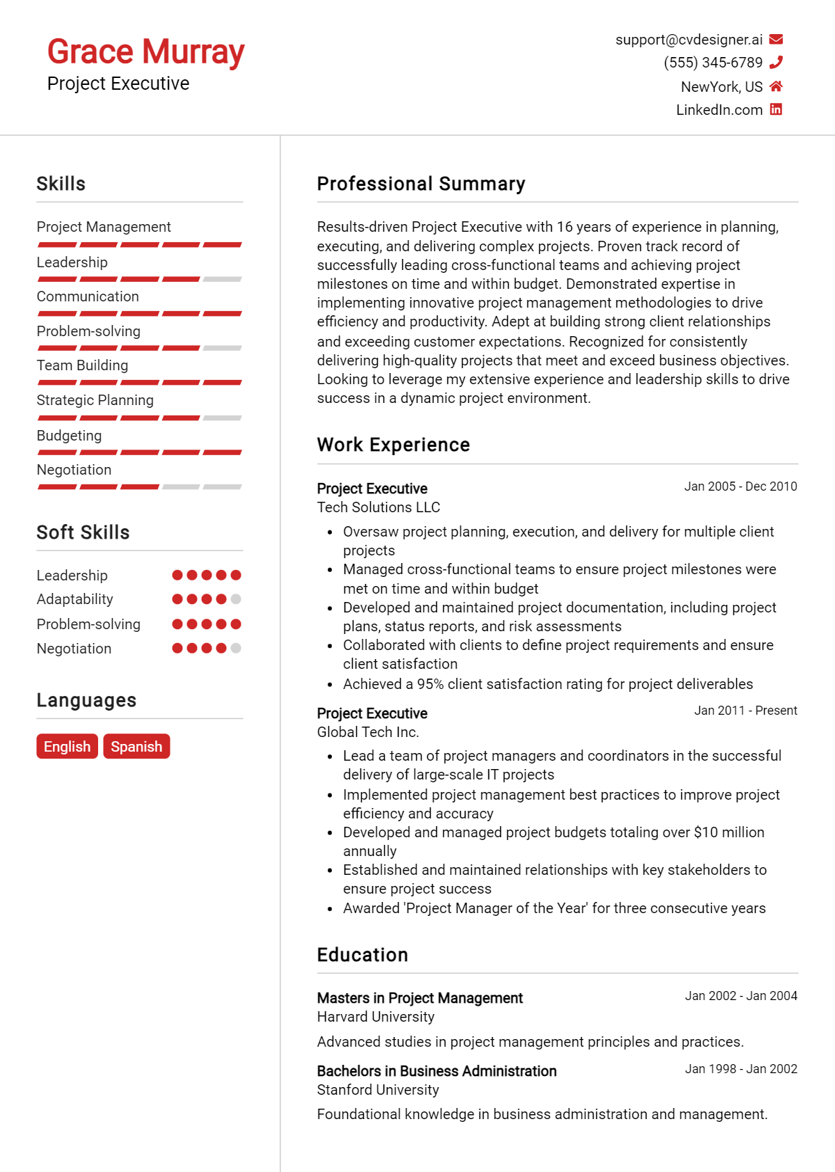 24 Project Executive Resume Examples for 2026: Free Samples Preview