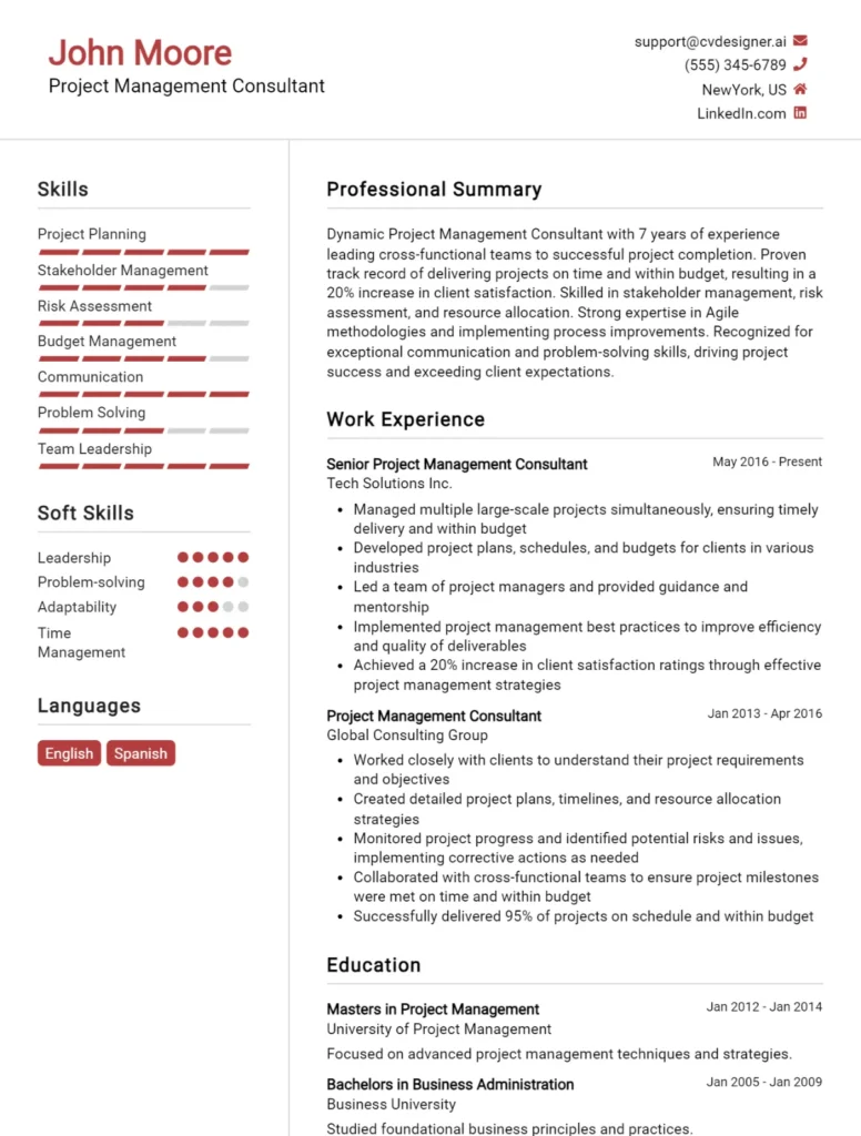 Project Management Consultant CV Example