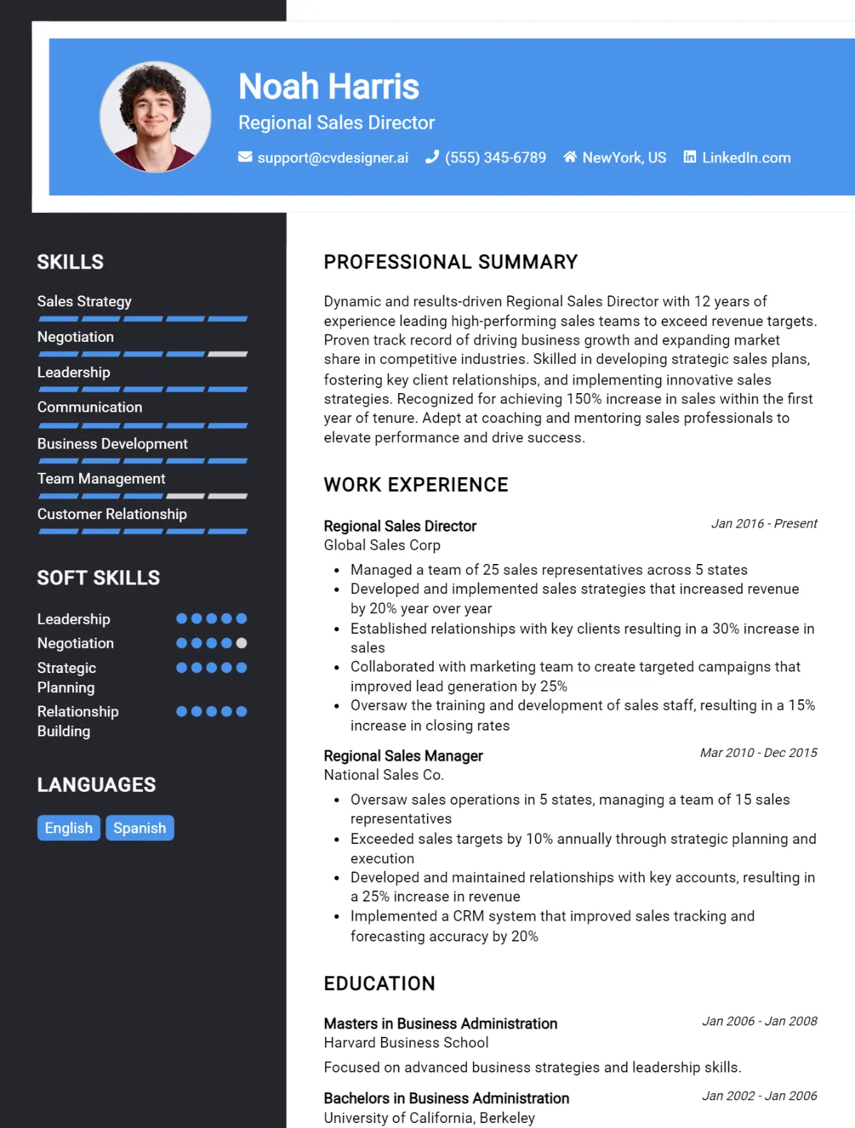 Regional Sales Director CV Example For 2026: Effective CV Writing Tips Preview