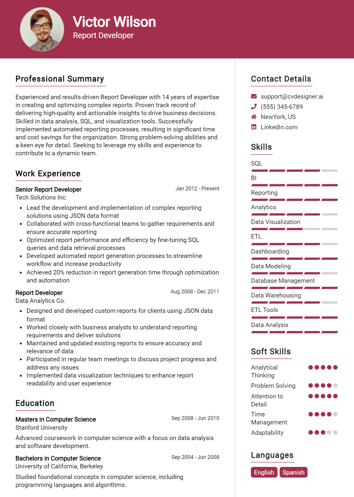 Report Developer Resume Example for 2026: Effective Tips Preview