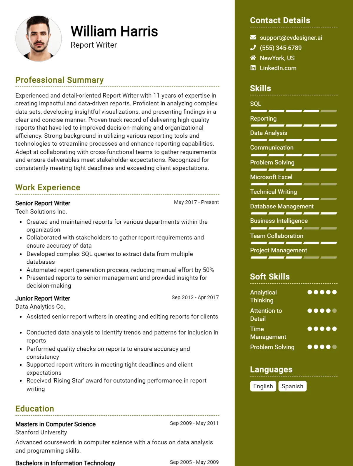 Report Writer CV Example For 2026: Best Writing Guide Preview
