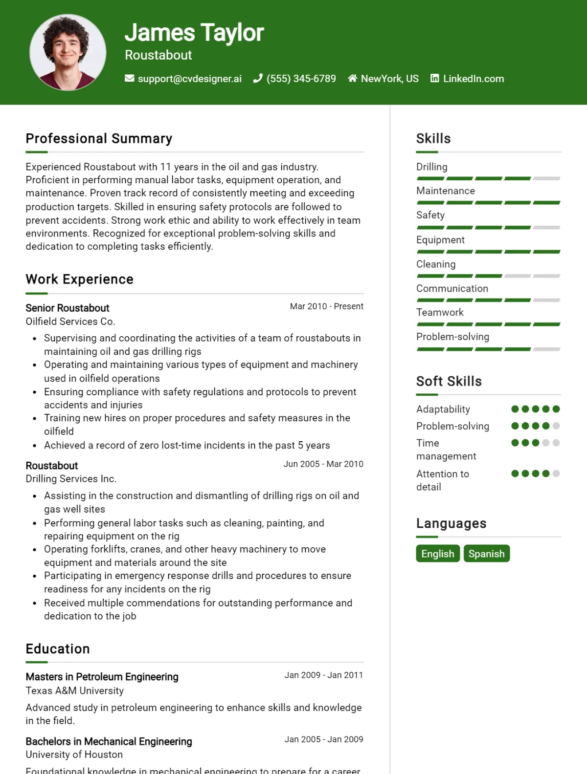 Roustabout CV Example For 2026: Samples & Best Practices Preview
