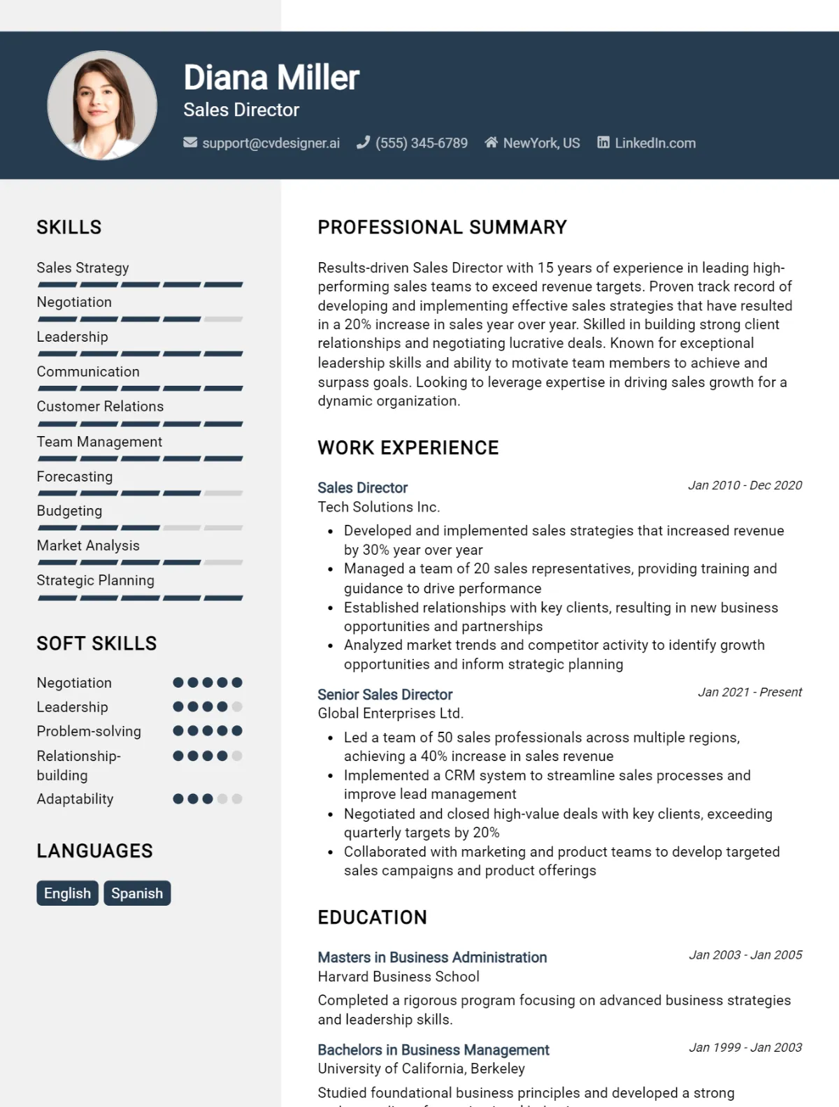 Sales Director CV Example For 2026: Proven Tips & Templates Preview
