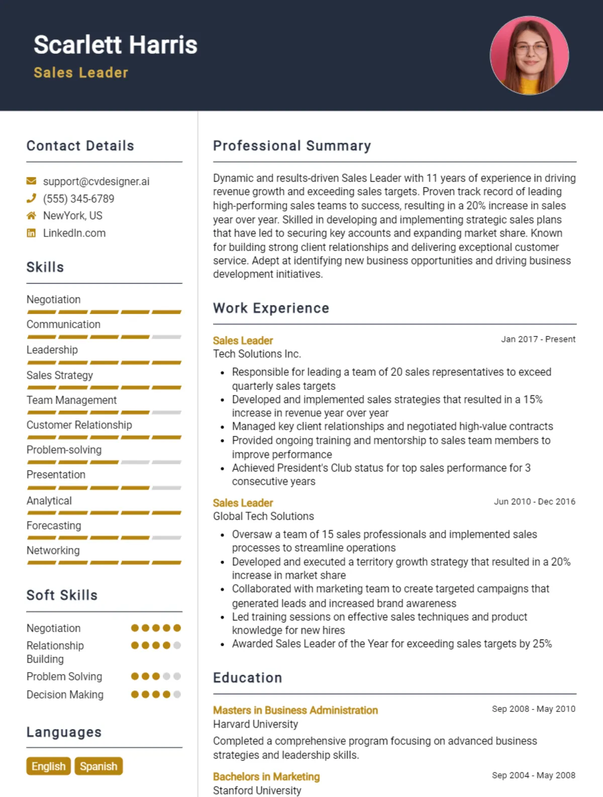 Sales Leader CV Example For 2026: Professional CV Templates Preview