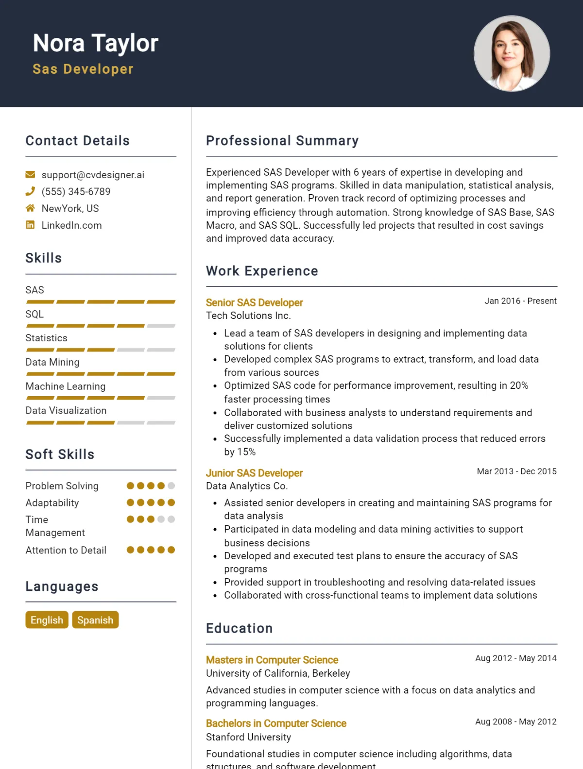 SAS Developer CV Example For 2026: Best Tips & Templates Preview