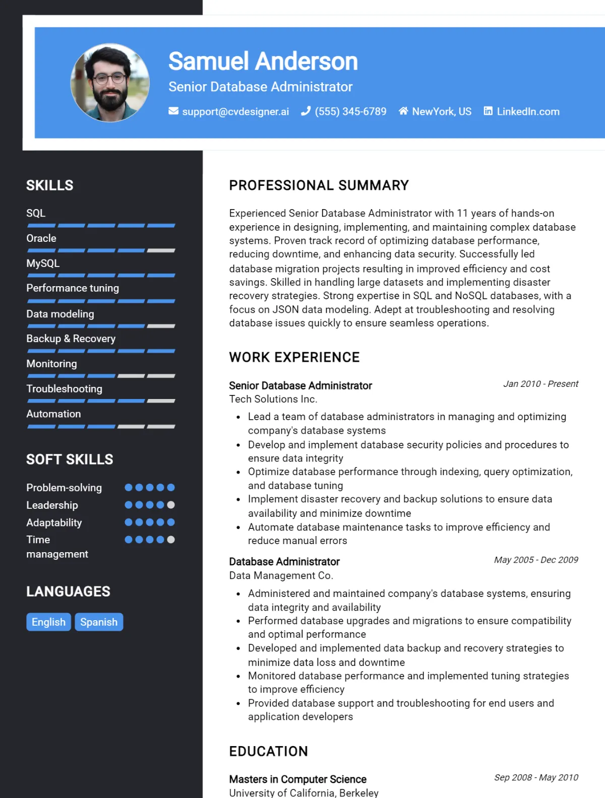 12 Senior Database Administrator CV Examples And Templates For 2026 Preview