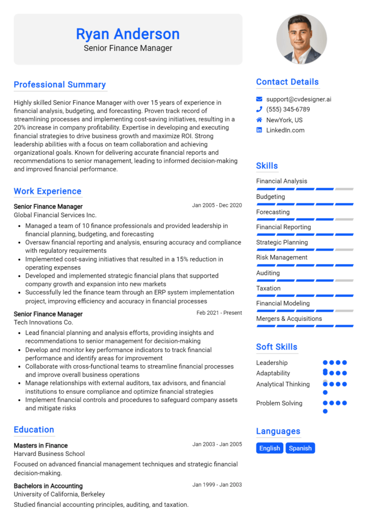 Senior Finance Manager Resume Example