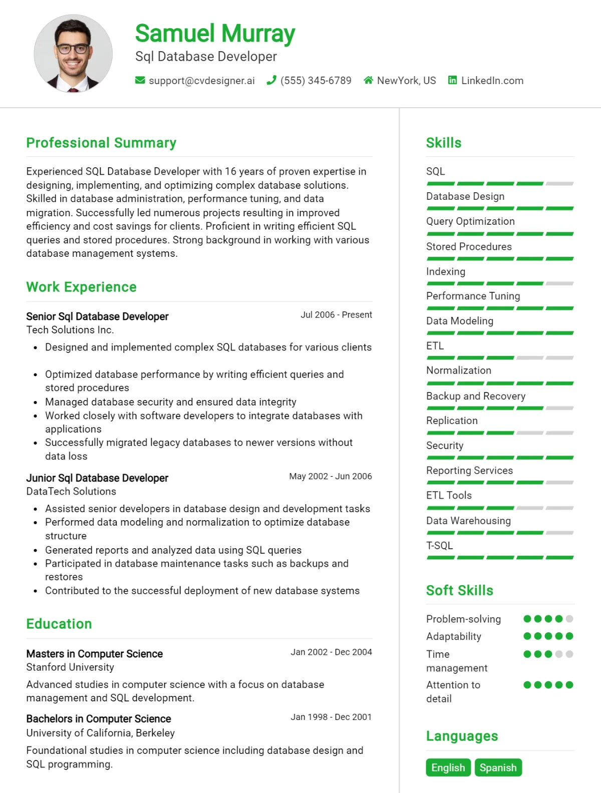 10 SQL Database Developer CV Examples And Templates For 2026 Preview