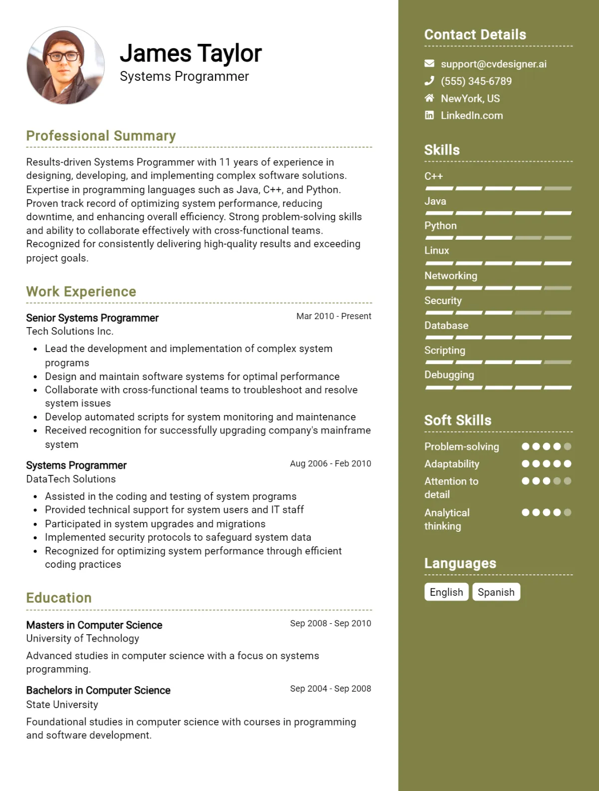 11 Systems Programmer CV Examples For 2026: Free Templates Preview