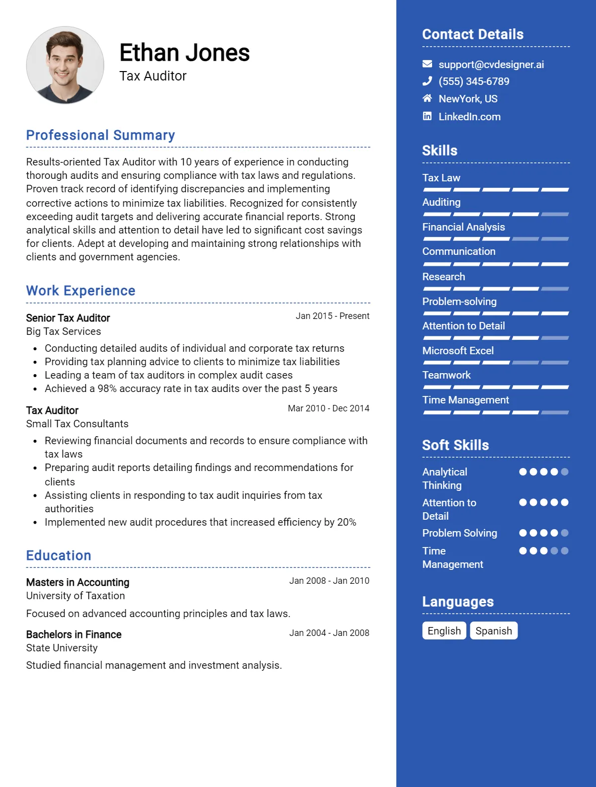 13 Tax Auditor CV Examples And Templates For 2026: Best Guide Preview