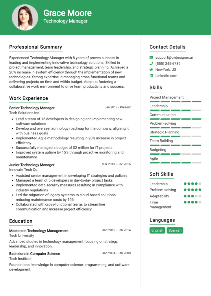 Technology Manager Resume Example
