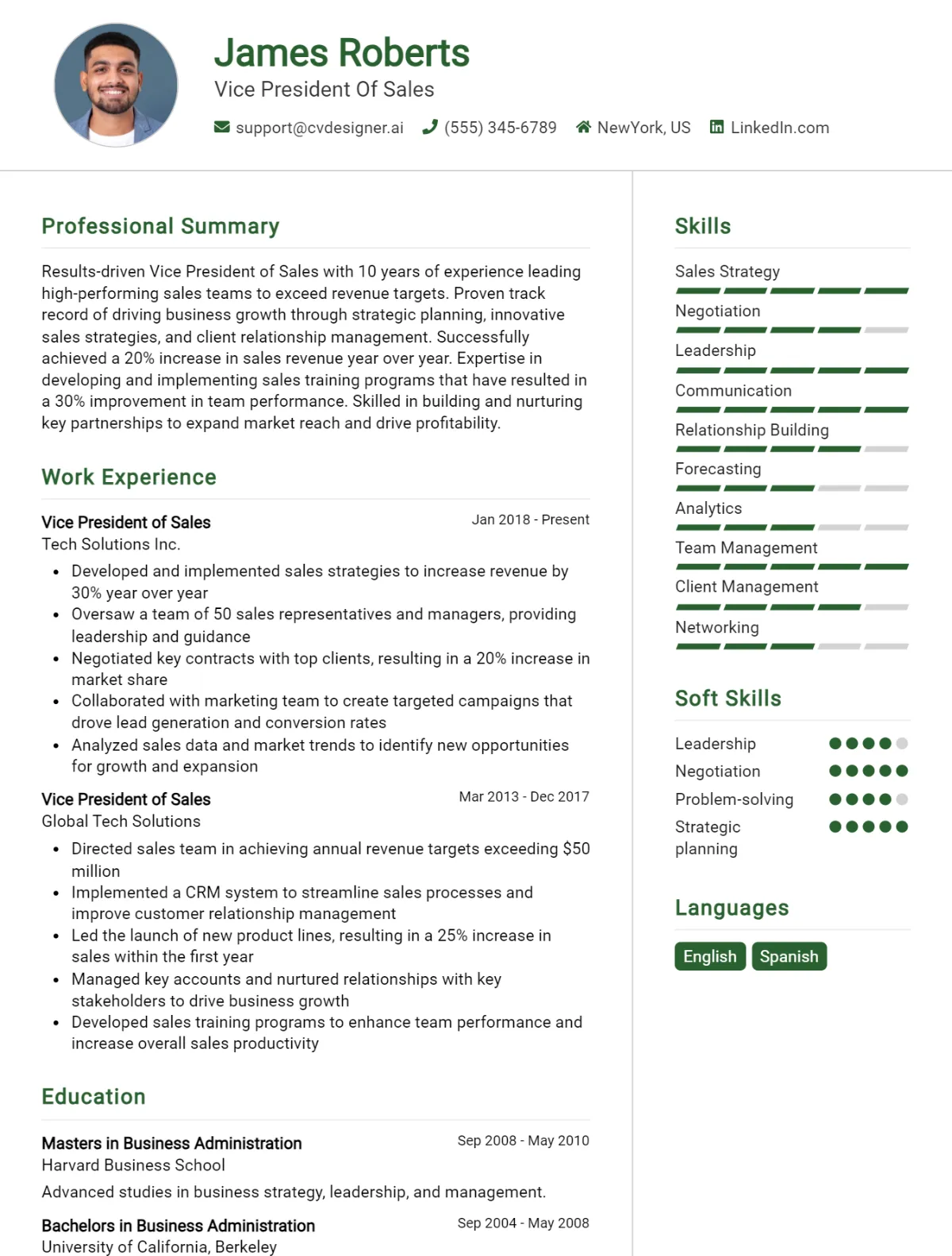 Vice President Of Sales CV Example For 2026: Professional CV Templates Preview