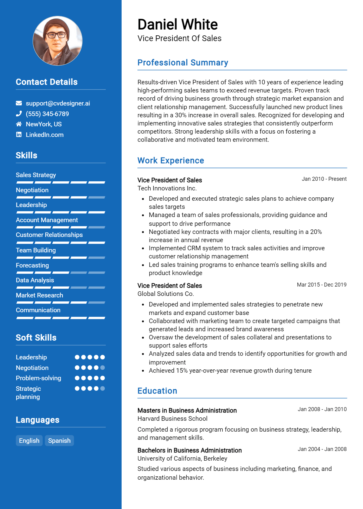 Vice President Of Sales Resume Example for 2026: Free Templates Preview