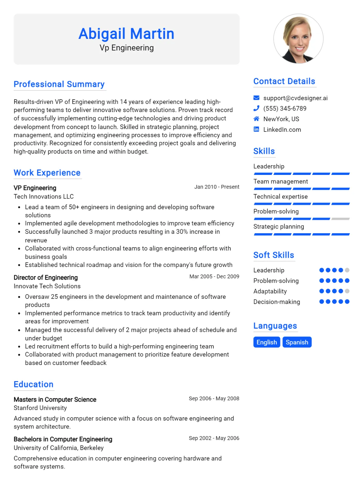 VP Engineering CV Example For 2026: Top CV Skills Preview