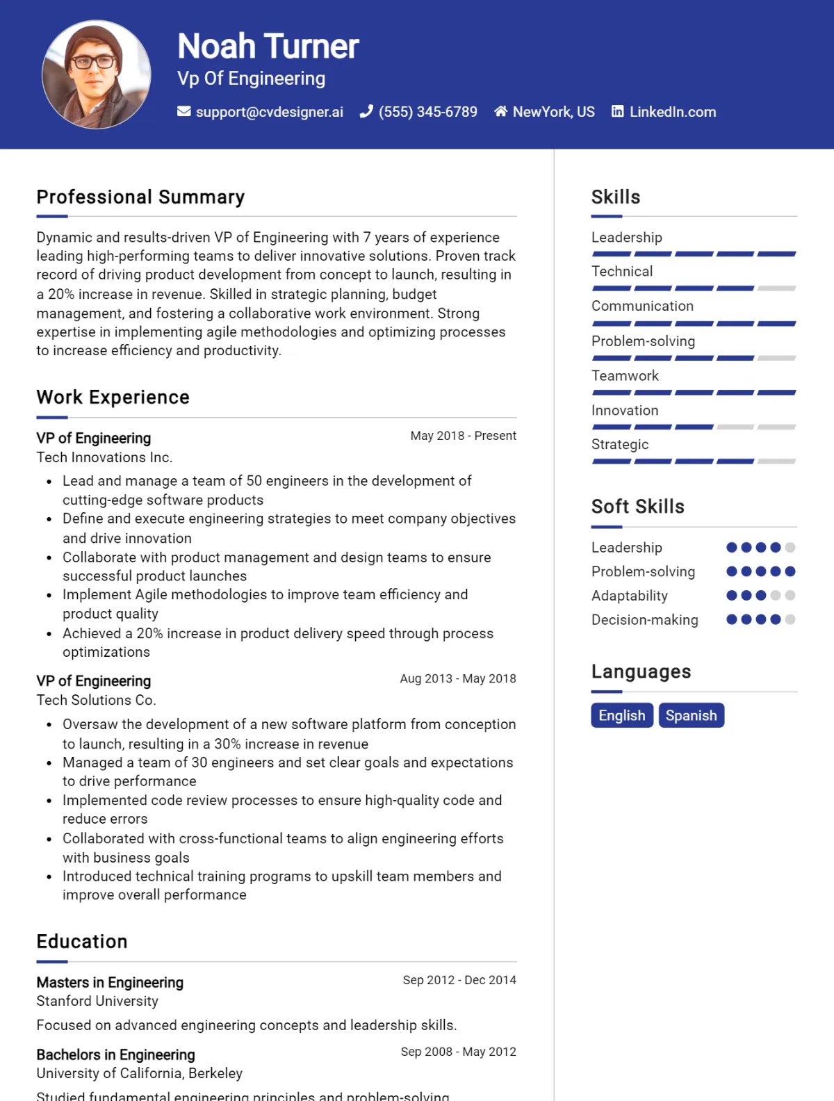 VP Of Engineering CV Example For 2026: Top Tips & Samples Preview