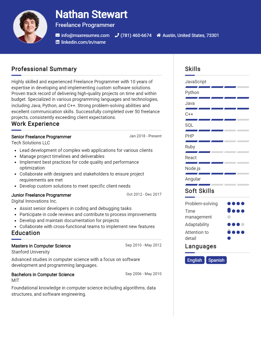 freelance-programmer-resume-sample